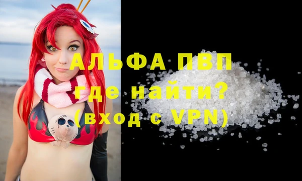 индика Кулебаки