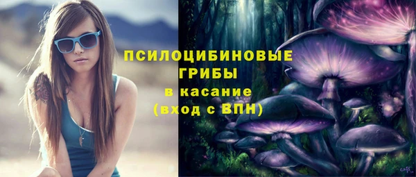 2c-b Порхов