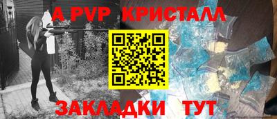 2c-b Кингисепп