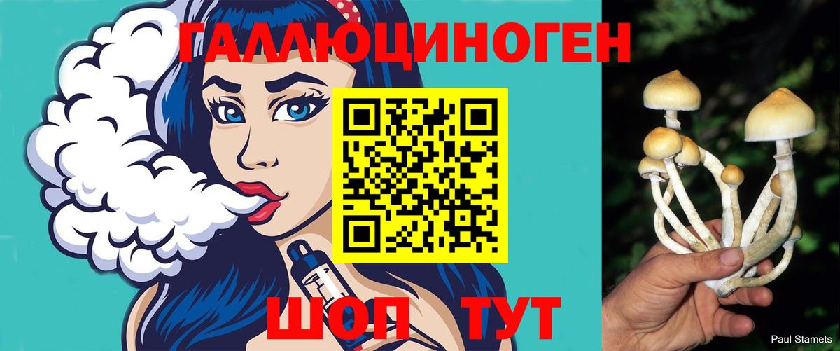 Псилоцибиновые грибы ЛСД Сунжа