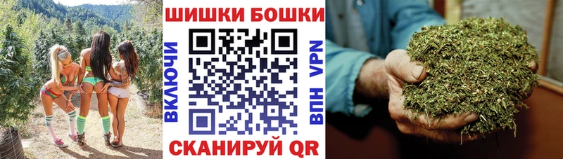 Бошки марихуана ГИДРОПОН Сунжа